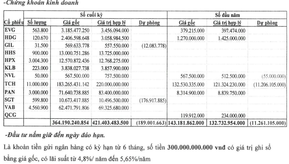 "Trắng" doanh thu cốt lõi, công ty BĐS rót hơn 360 tỷ đồng đầu tư vào TCH, HPX, PAN, NVL, KLB,... đang tạm lãi lớn- Ảnh 1.