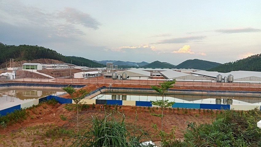 Quảng Ninh: Cuộc đổ bộ bạc tỷ vào ngành kinh tế đặc biệt quan trọng, nhắm thẳng tới thị trường Trung Quốc- Ảnh 2. Quảng Ninh: Cuộc đổ bộ bạc tỷ vào ngành kinh tế đặc biệt quan trọng, nhắm thẳng tới thị trường Trung Quốc- Ảnh 2.