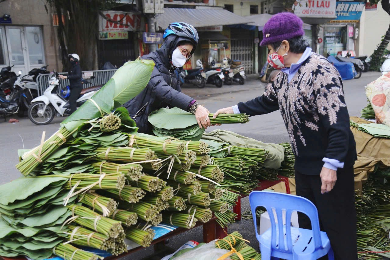Lá tre bỗng dưng đắt khách, loài hoa dân dã trở thành 'ngôi sao'- Ảnh 2. Lá tre bỗng dưng đắt khách, loài hoa dân dã trở thành 'ngôi sao'- Ảnh 2.