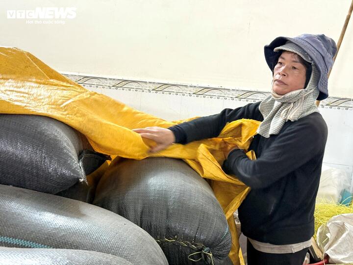 Cà phê tăng giá như vàng, nông dân gom tiền mở rộng canh tác- Ảnh 3. Cà phê tăng giá như vàng, nông dân gom tiền mở rộng canh tác- Ảnh 3.