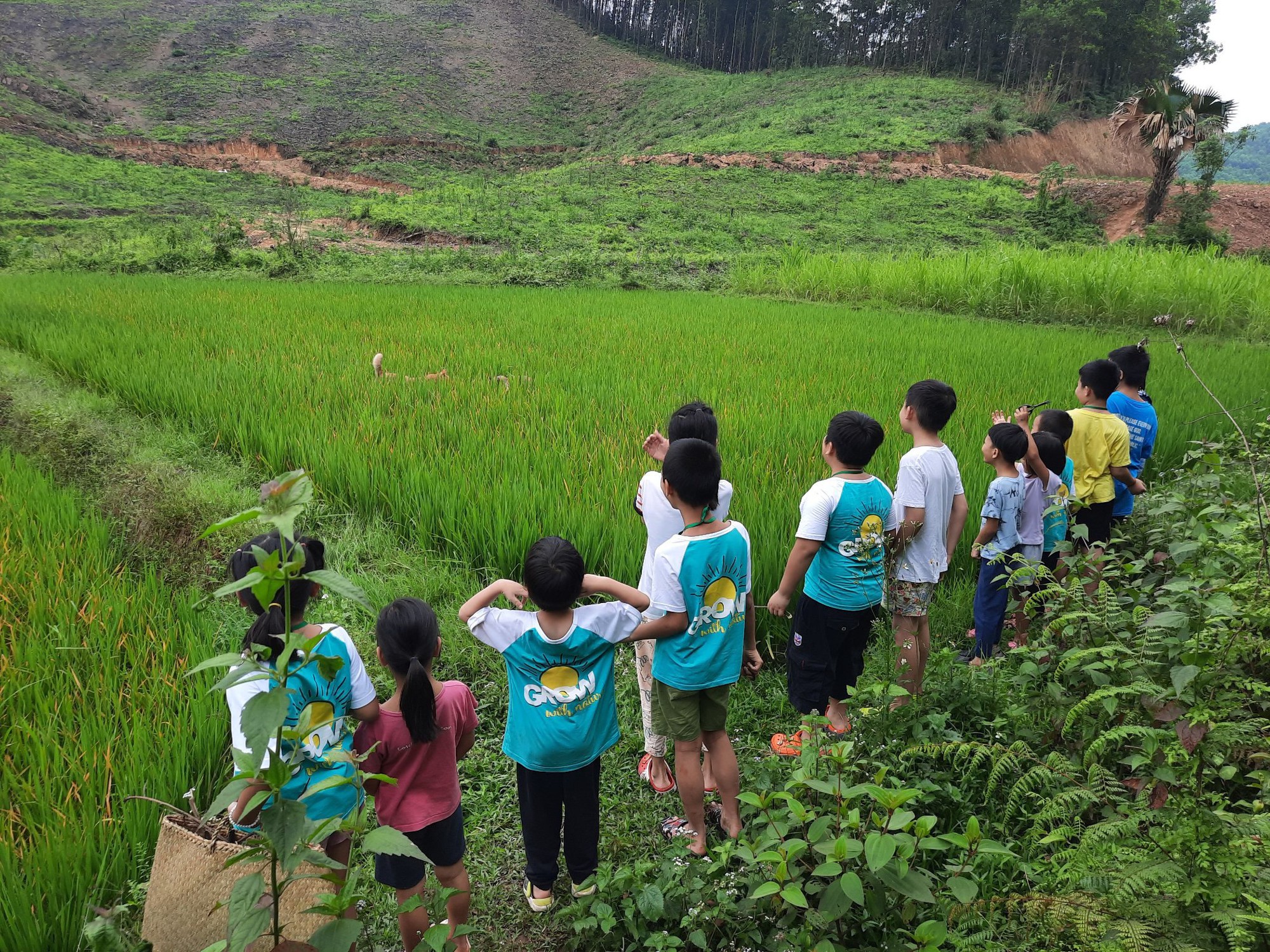 Toàn bộ mô hình hoạt động và mức phí của Làng Háo Hức - trại hè do MC Minh Trang làm fouder- Ảnh 7.