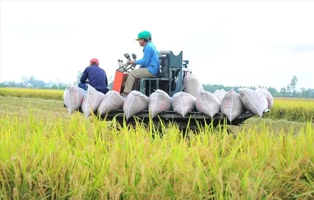 Việt Nam thu về 33,8 tỷ USD từ xuất khẩu nông sản, giao thương với Mỹ tăng mạnh- Ảnh 1.