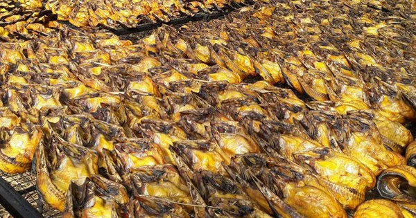 Cả thế giới tranh nuôi nhưng chỉ Việt Nam tạo nên ngành công nghiệp tỷ đô từ 
