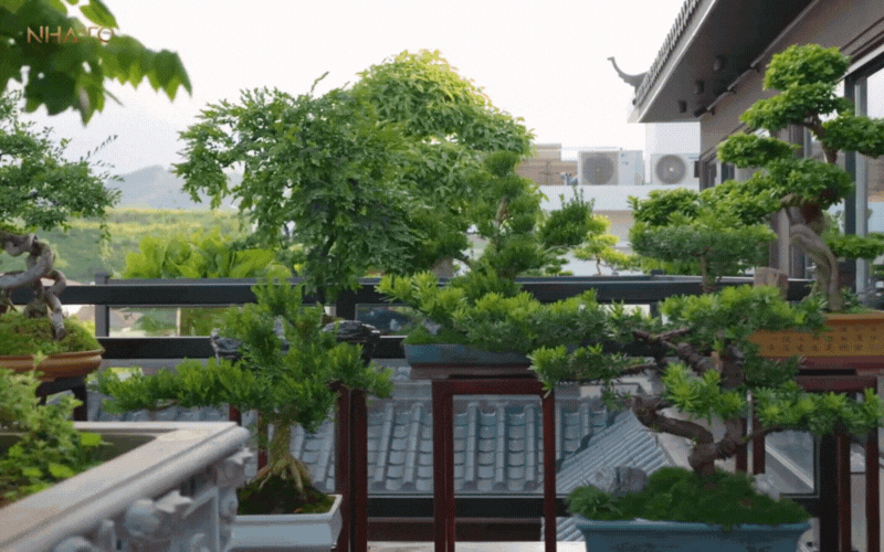 Bên trong biệt phủ hình chữ 