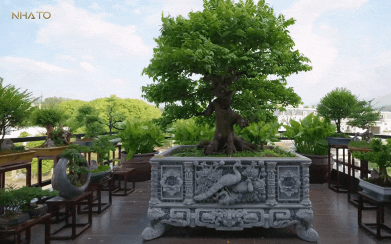 Bên trong biệt phủ hình chữ 