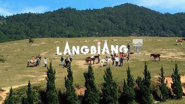 Tỉnh lớn nhất Việt Nam sau sáp nhập: Vừa có rừng, vừa có biên giới, vừa có đường ven biển như nước ngoài- Ảnh 12. Tỉnh lớn nhất Việt Nam sau sáp nhập: Vừa có rừng, vừa có biên giới, vừa có đường ven biển như nước ngoài- Ảnh 12.
