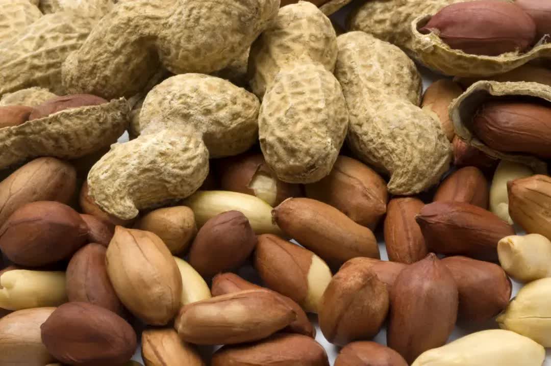 4 vật dụng nhà bếp chứa "cả kho" chất gây ung thư aflatoxin- Ảnh 2. 4 vật dụng nhà bếp chứa "cả kho" chất gây ung thư aflatoxin- Ảnh 2.