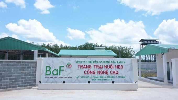 Doanh nghiệp chăn nuôi lãi 'khủng' bất chấp dịch tả lợn châu Phi- Ảnh 2.