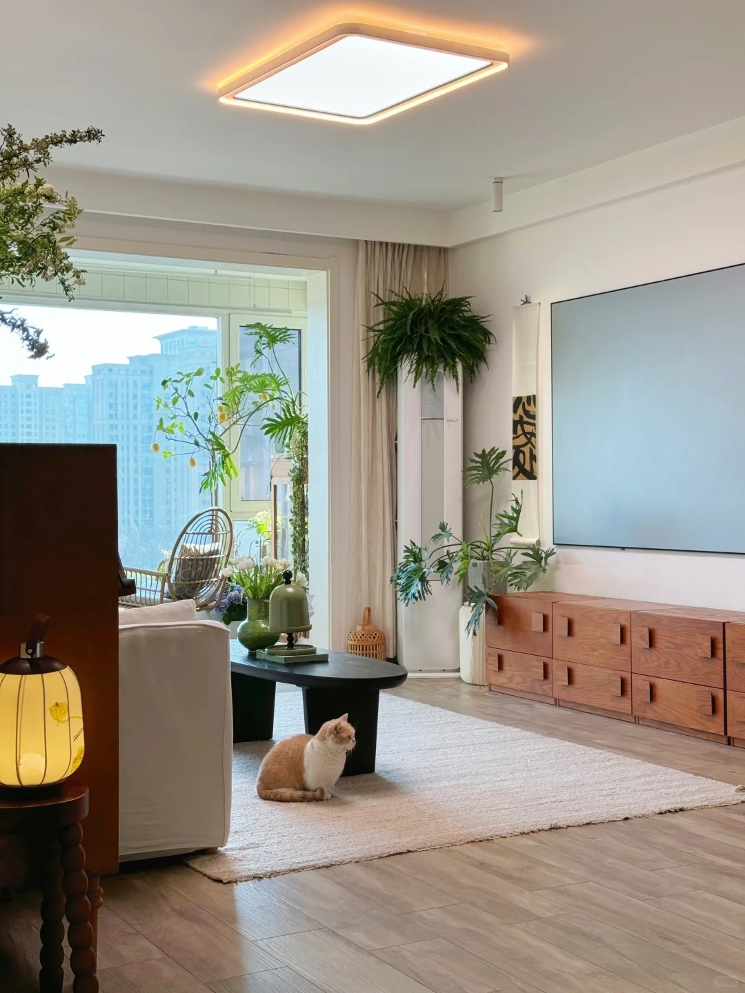 Căn hộ của nữ nhiếp ảnh gia gây sốt MXH: Cảm giác 