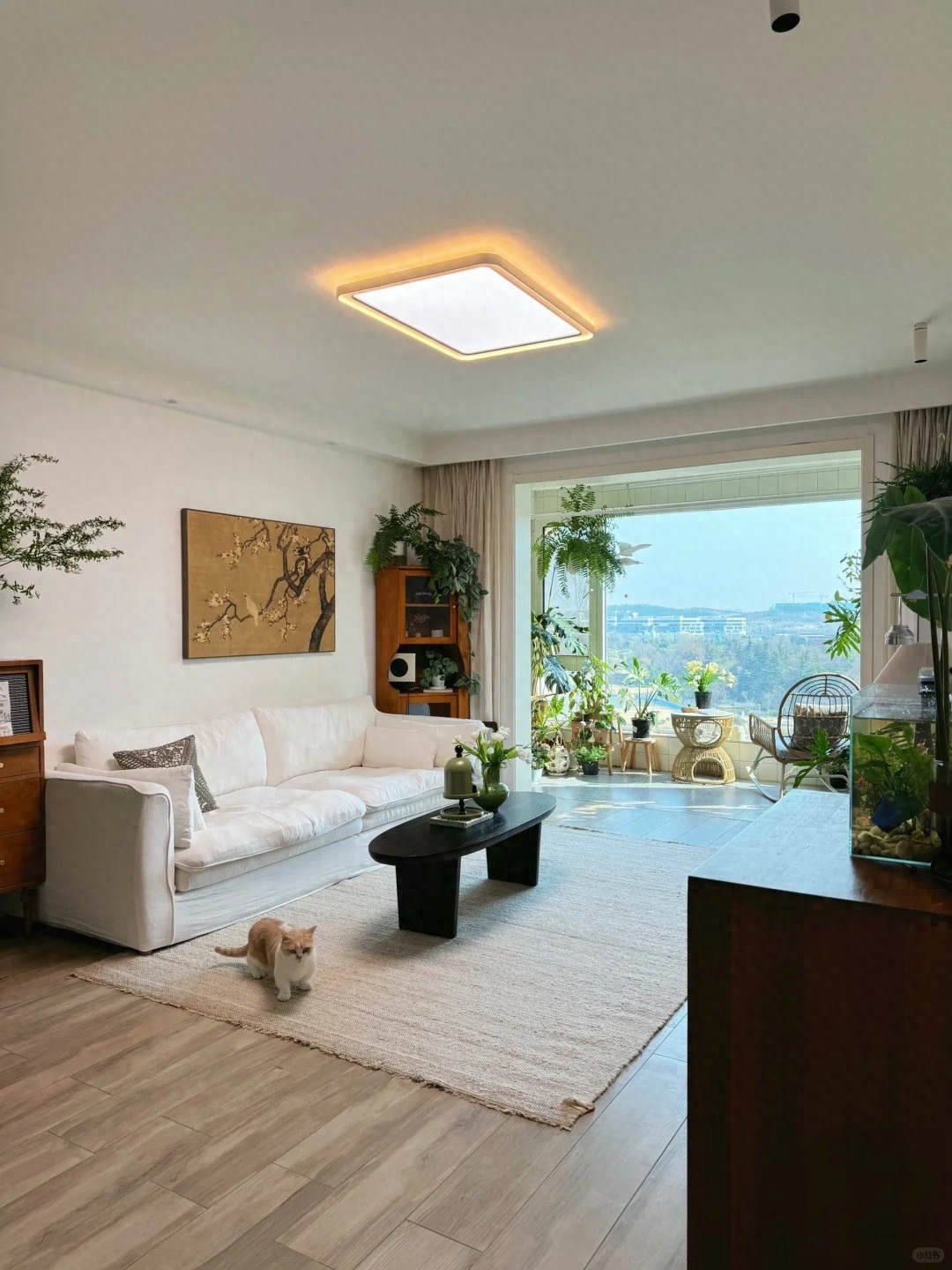 Căn hộ của nữ nhiếp ảnh gia gây sốt MXH: Cảm giác 