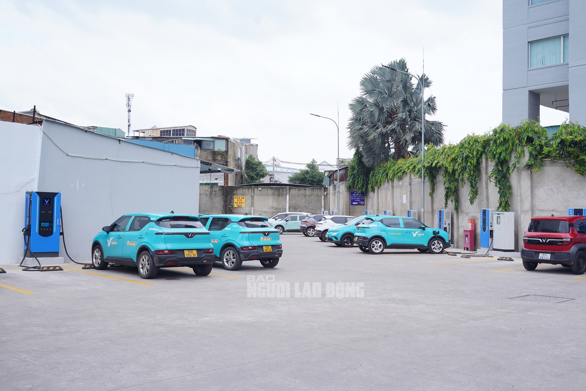 VIDEO: Thu lợi nhuận khủng hằng tháng từ quán cà phê võng kết hợp trạm sạc- Ảnh 13.