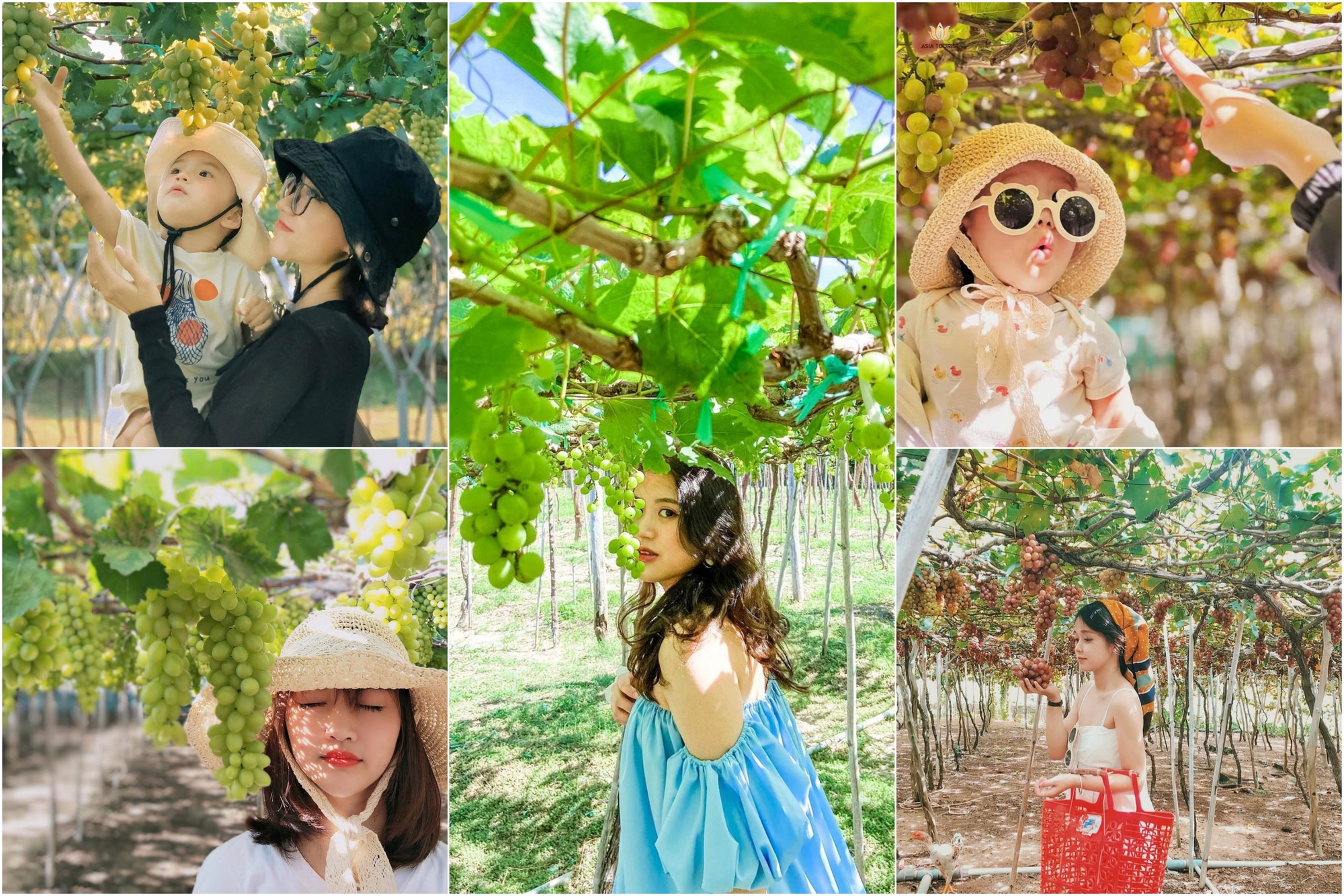Không chỉ sở hữu nhiều kỷ lục "nhất Việt Nam", nơi này còn chinh phục du khách bằng những món ngon không đâu sánh được- Ảnh 14. Không chỉ sở hữu nhiều kỷ lục "nhất Việt Nam", nơi này còn chinh phục du khách bằng những món ngon không đâu sánh được- Ảnh 14.