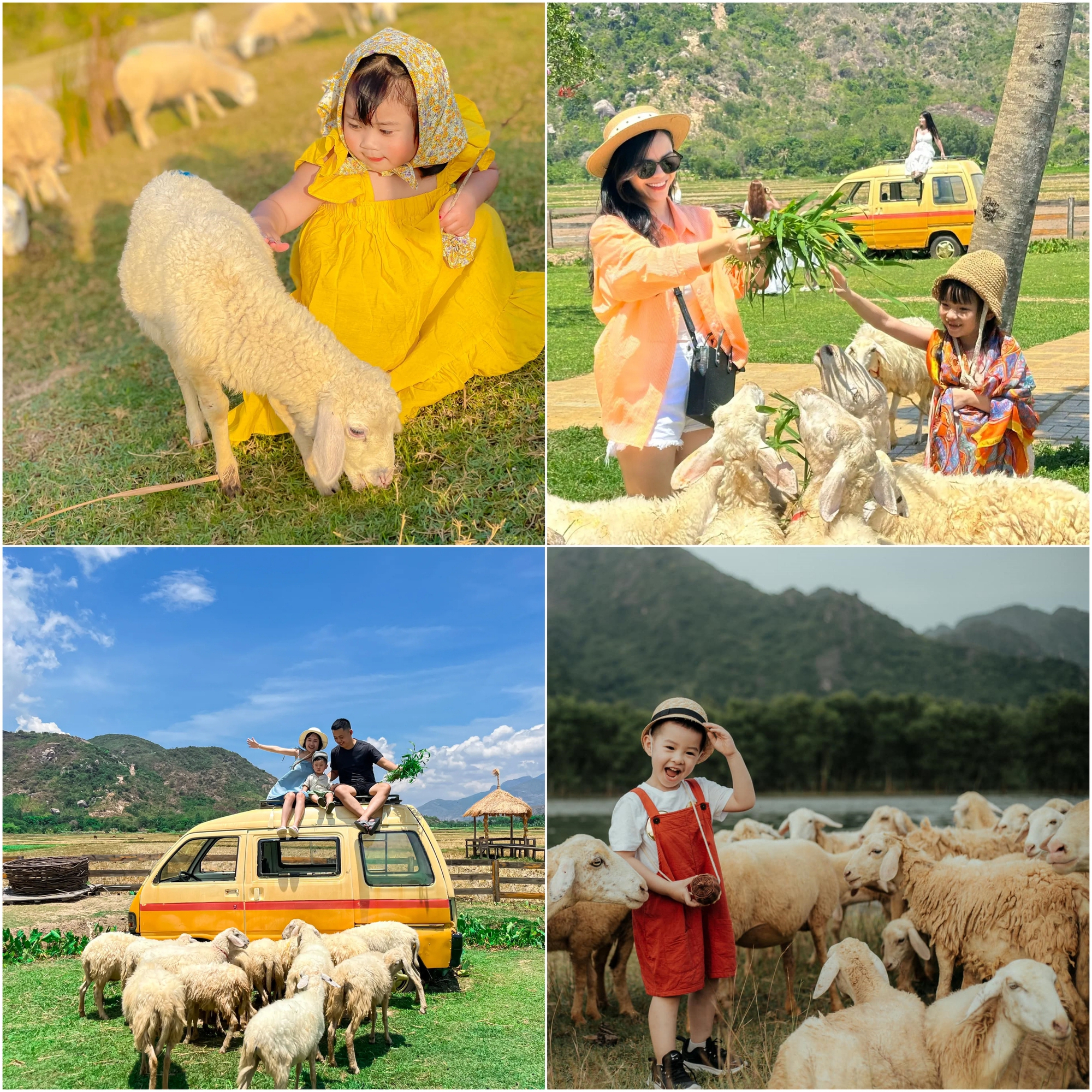 Không chỉ sở hữu nhiều kỷ lục "nhất Việt Nam", nơi này còn chinh phục du khách bằng những món ngon không đâu sánh được- Ảnh 19. Không chỉ sở hữu nhiều kỷ lục "nhất Việt Nam", nơi này còn chinh phục du khách bằng những món ngon không đâu sánh được- Ảnh 19.