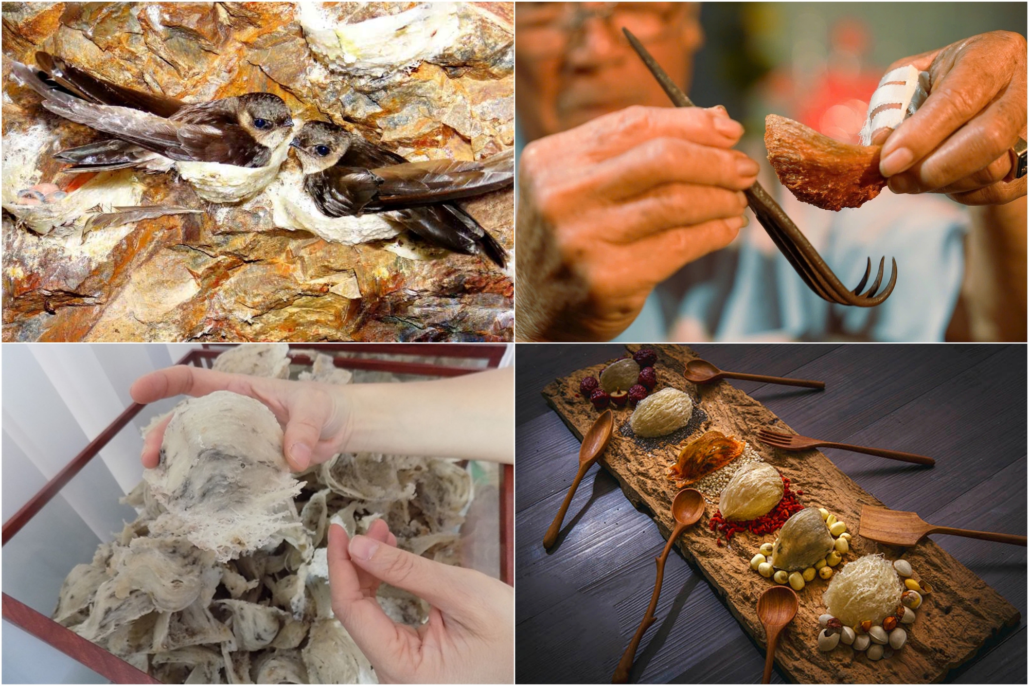 Không chỉ sở hữu nhiều kỷ lục "nhất Việt Nam", nơi này còn chinh phục du khách bằng những món ngon không đâu sánh được- Ảnh 9. Không chỉ sở hữu nhiều kỷ lục "nhất Việt Nam", nơi này còn chinh phục du khách bằng những món ngon không đâu sánh được- Ảnh 9.