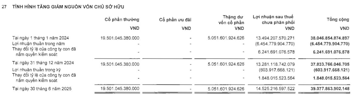 Hàng nghìn tỷ lợi nhuận 'ẩn giấu' của Novaland nằm ở đâu?- Ảnh 2.
