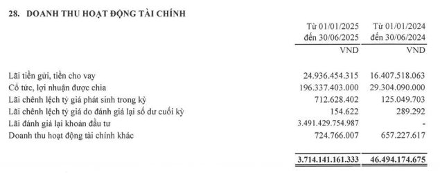 Dịch vụ Hoàng Huy (HHS) báo lãi quý 2/2025 hơn 3.500 tỷ đồng, cao gấp 32 lần cùng kỳ- Ảnh 2.