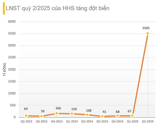 Dịch vụ Hoàng Huy (HHS) báo lãi quý 2/2025 hơn 3.500 tỷ đồng, cao gấp 32 lần cùng kỳ- Ảnh 1.