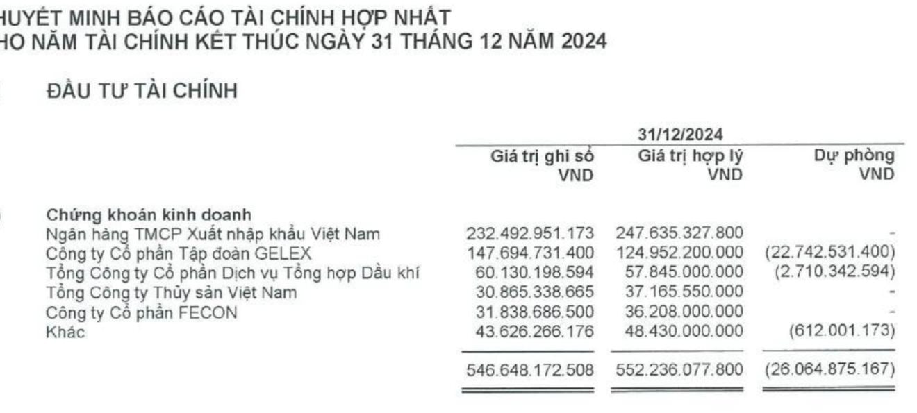 Cổ phiếu tăng gấp rưỡi sau 2 tuần, Viconship hé lộ danh mục đầu tư chứng khoán trị giá hơn 1.400 tỷ- Ảnh 2.