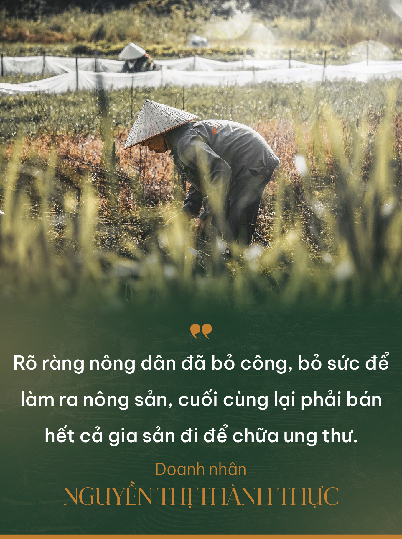 Doanh nhân Nguyễn Thị Thành Thực: Mong ước của tôi là những người Việt làm chủ ở nước ngoài trong nông nghiệp cũng nhiều như làm chủ tiệm nails!- Ảnh 3. Doanh nhân Nguyễn Thị Thành Thực: Mong ước của tôi là những người Việt làm chủ ở nước ngoài trong nông nghiệp cũng nhiều như làm chủ tiệm nails!- Ảnh 3.