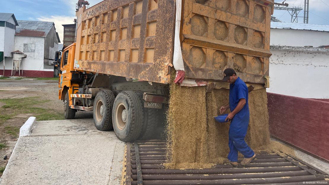 Động thái chưa từng có tiền lệ: Cuba đánh cược tương lai nông nghiệp vào hạt giống Việt Nam- Ảnh 4. Động thái chưa từng có tiền lệ: Cuba đánh cược tương lai nông nghiệp vào hạt giống Việt Nam- Ảnh 4.