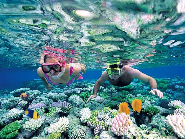 Hòn đảo hoang sơ địa hình đặc biệt, là nơi sống của cua khổng lồ, du khách nhận xét: Hiếm đâu có được!- Ảnh 7. Hòn đảo hoang sơ địa hình đặc biệt, là nơi sống của cua khổng lồ, du khách nhận xét: Hiếm đâu có được!- Ảnh 7.