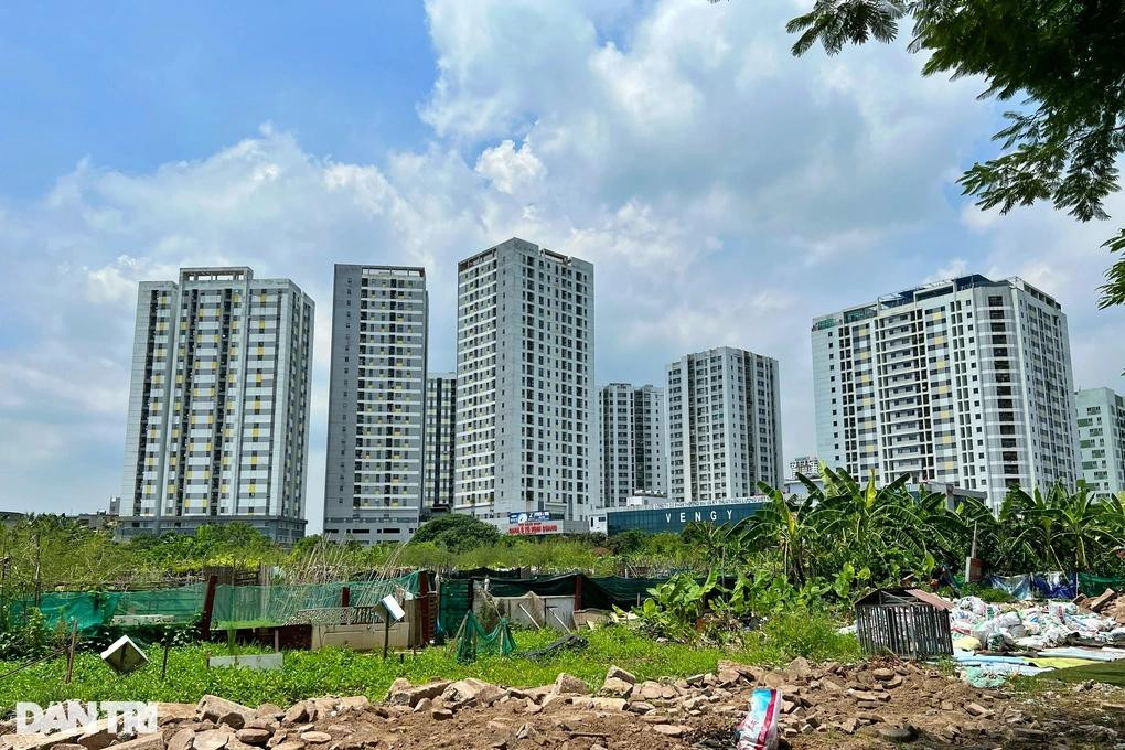 TS. Lê Xuân Nghĩa: Muốn giá nhà hạ nhiệt, giải pháp không nằm ở việc đánh thuế- Ảnh 2. TS. Lê Xuân Nghĩa: Muốn giá nhà hạ nhiệt, giải pháp không nằm ở việc đánh thuế- Ảnh 2.