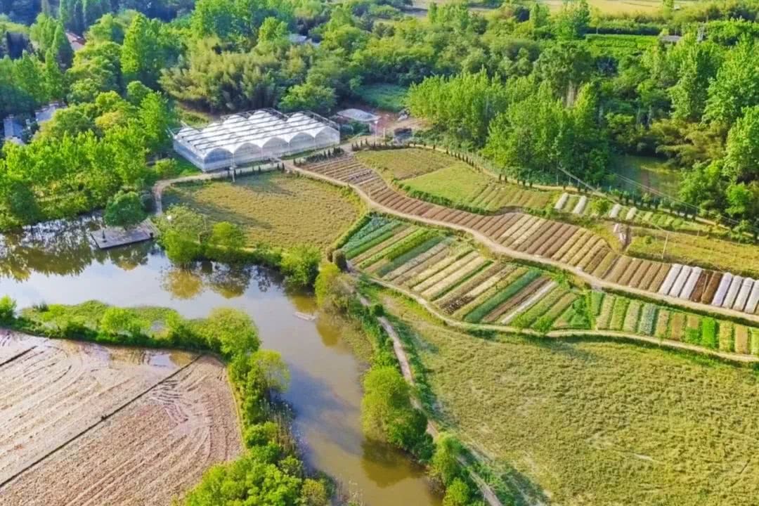 Giám đốc công nghệ “bỏ phố về quê”, mua hơn 133.000m2 đất để nghỉ hưu: Mất 3 năm mới hoàn thành nông trại trong mơ- Ảnh 2. Giám đốc công nghệ “bỏ phố về quê”, mua hơn 133.000m2 đất để nghỉ hưu: Mất 3 năm mới hoàn thành nông trại trong mơ- Ảnh 2.
