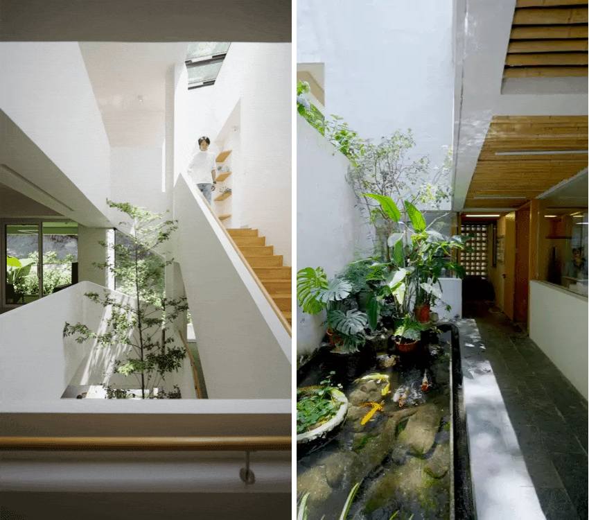 Bỏ phố về quê, doanh nhân 9X xây biệt thự hơn 700m2 cho bố mẹ: Mỗi tháng chỉ cần tiêu 1 triệu đồng vẫn thấy thoải mái- Ảnh 4.