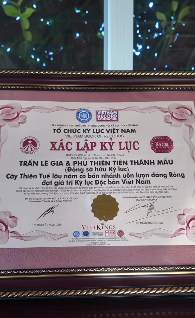 Loài cây độc nhất Việt Nam, siêu giá trị trong biệt phủ trăm tỷ, rộng 10.000 mét vuông của Lý Nhã Kỳ- Ảnh 5. Loài cây độc nhất Việt Nam, siêu giá trị trong biệt phủ trăm tỷ, rộng 10.000 mét vuông của Lý Nhã Kỳ- Ảnh 5.