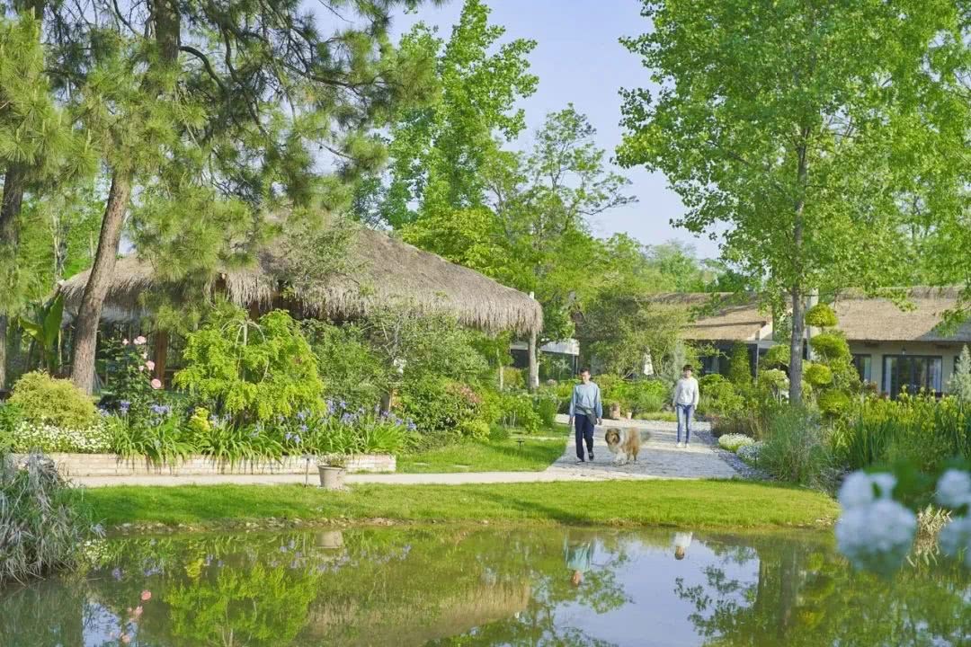 Giám đốc công nghệ “bỏ phố về quê”, mua hơn 133.000m2 đất để nghỉ hưu: Mất 3 năm mới hoàn thành nông trại trong mơ- Ảnh 4. Giám đốc công nghệ “bỏ phố về quê”, mua hơn 133.000m2 đất để nghỉ hưu: Mất 3 năm mới hoàn thành nông trại trong mơ- Ảnh 4.