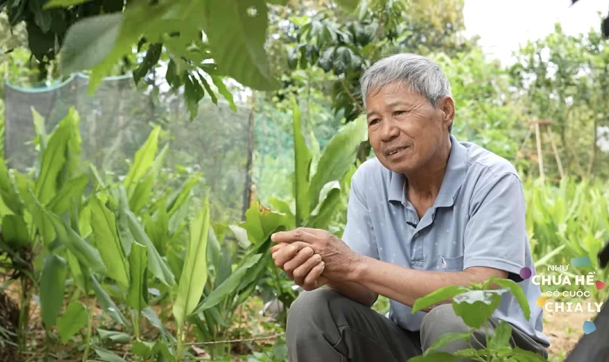 Cô gái Việt theo mẹ sang Trung Quốc rồi thất lạc 20 năm, ngày trở về tiết lộ bí mật ngỡ ngàng về mẹ- Ảnh 5. Cô gái Việt theo mẹ sang Trung Quốc rồi thất lạc 20 năm, ngày trở về tiết lộ bí mật ngỡ ngàng về mẹ- Ảnh 5.