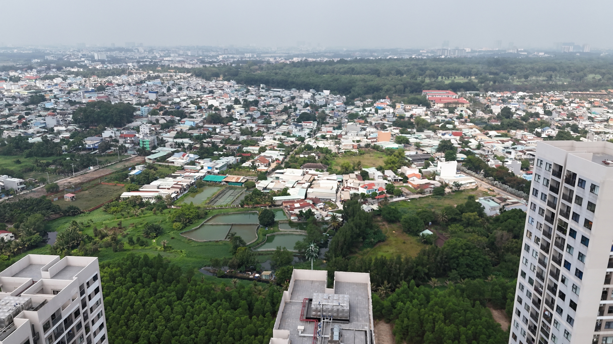 Băn khoăn về đề xuất tăng giá đất nông nghiệp- Ảnh 1. Băn khoăn về đề xuất tăng giá đất nông nghiệp- Ảnh 1.