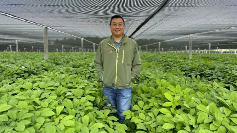 Trung Quốc quay lưng với mặt hàng được coi là thần dược, nông dân Mỹ điêu đứng chịu ép giá, lãi mỏng, phải rút tiết kiệm, đi vay duy trì qua ngày, đối mặt tương lai ảm đạm- Ảnh 2. Trung Quốc quay lưng với mặt hàng được coi là thần dược, nông dân Mỹ điêu đứng chịu ép giá, lãi mỏng, phải rút tiết kiệm, đi vay duy trì qua ngày, đối mặt tương lai ảm đạm- Ảnh 2.