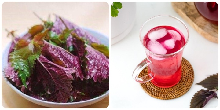 Loại lá trong vườn có tác dụng trị nám, làm sáng da nhanh chóng: Mùa hè có thể dùng để uống hoặc đắp mặt nạ- Ảnh 2.