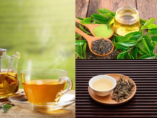 Việt Nam có 1 loại "lá trường thọ", được Mỹ đánh giá tốt hơn cả trà xanh: Từ rễ đến ngọn đều là thuốc, bổ ngang tổ yến nhân sâm- Ảnh 3. Việt Nam có 1 loại "lá trường thọ", được Mỹ đánh giá tốt hơn cả trà xanh: Từ rễ đến ngọn đều là thuốc, bổ ngang tổ yến nhân sâm- Ảnh 3.