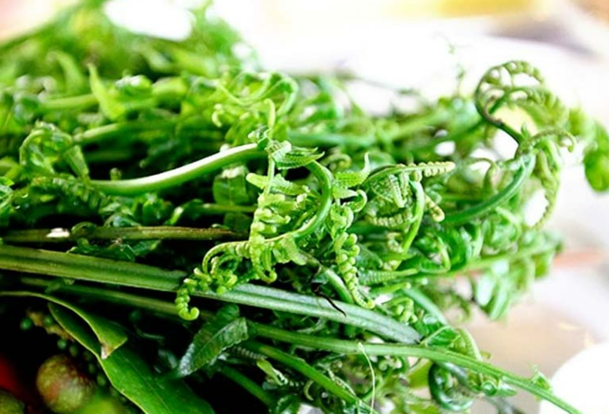 Việt Nam có loại rau mọc dại, từng được thương lái Trung Quốc đổ xô mua: Hoá ra là vị thuốc toàn năng- Ảnh 1.