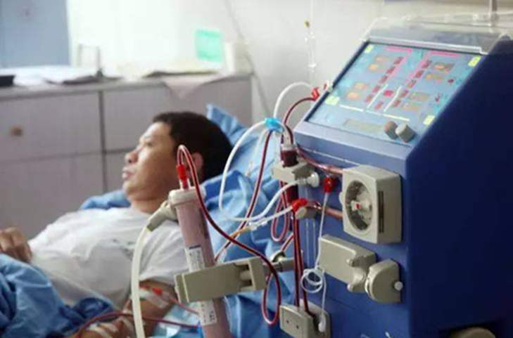 Nam thanh niên 20 tuổi suy thận sau khi ăn hải sản- Ảnh 1.