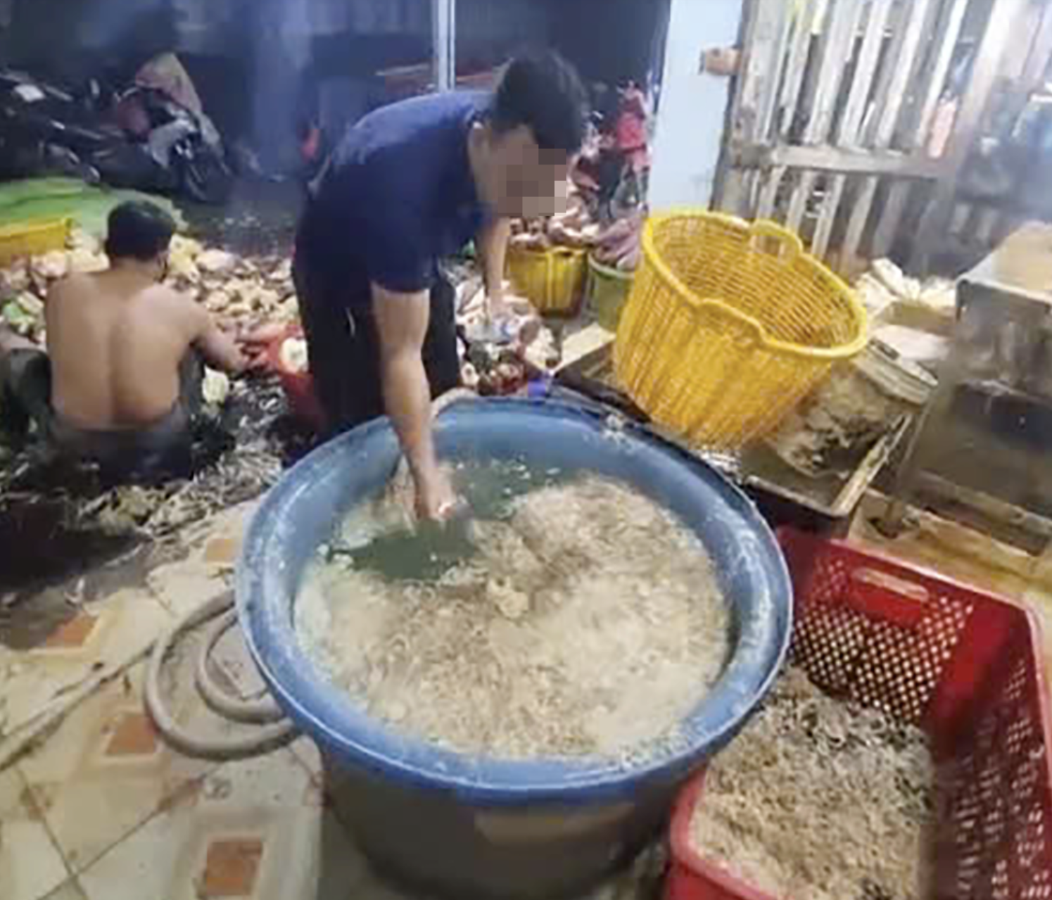 Công an TP HCM kiểm tra đột xuất, phát hiện 3 cơ sở ngâm hoa chuối bằng hoá chất- Ảnh 1. Công an TP HCM kiểm tra đột xuất, phát hiện 3 cơ sở ngâm hoa chuối bằng hoá chất- Ảnh 1.