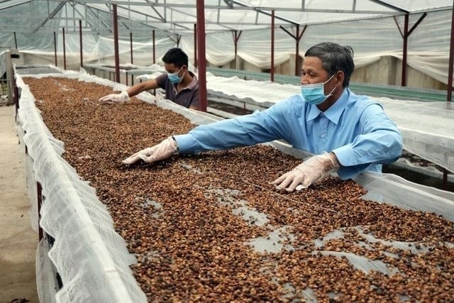 Việt Nam - Brazil sẽ lập thương hiệu chung 1 mặt hàng nước ta vừa lập kỷ lục, hơn 80 nước ồ ạt chốt đơn- Ảnh 3.