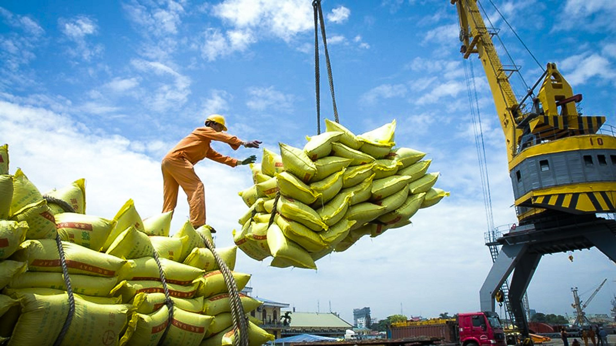 6 tháng đầu năm, Việt Nam xuất khẩu gần 5 triệu tấn gạo- Ảnh 2. 6 tháng đầu năm, Việt Nam xuất khẩu gần 5 triệu tấn gạo- Ảnh 2.