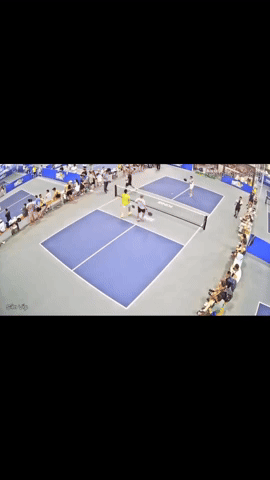 Xôn xao vụ VĐV pickleball cầm vợt tấn công trọng tài tới tấp tại Hải Phòng- Ảnh 2. Xôn xao vụ VĐV pickleball cầm vợt tấn công trọng tài tới tấp tại Hải Phòng- Ảnh 2.
