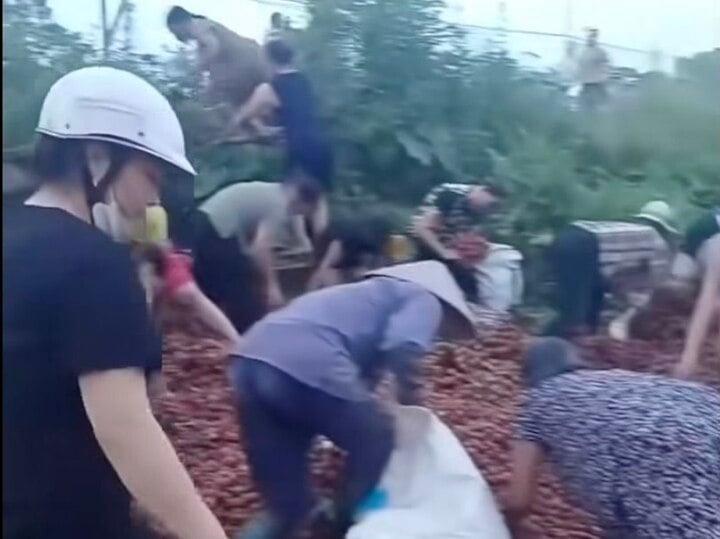 'Hôi vải' trên xe tải gặp nạn: Nhiều người chuyển tiền cho tài xế- Ảnh 1.