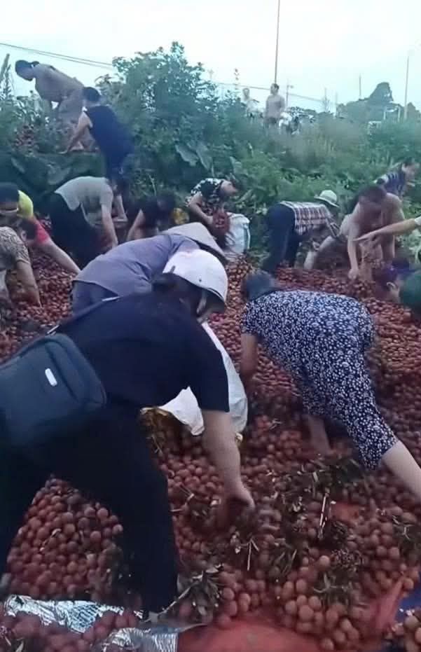 Vụ lật xe mất 4 tấn vải: Chủ hàng nhận được gần 10 triệu đồng từ nhiều số tài khoản lạ- Ảnh 2. Vụ lật xe mất 4 tấn vải: Chủ hàng nhận được gần 10 triệu đồng từ nhiều số tài khoản lạ- Ảnh 2.