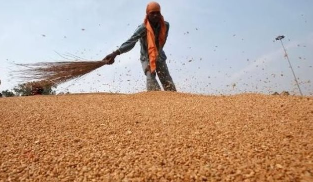 Hàng trăm nghìn tấn ‘báu vật’ từ Nga vừa đổ bộ vào Việt Nam: Thuế nhập khẩu 0%, Moscow đang là 'ông trùm' xuất khẩu của thế giới- Ảnh 1.