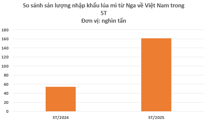Hàng trăm nghìn tấn ‘báu vật’ từ Nga vừa đổ bộ vào Việt Nam: Thuế nhập khẩu 0%, Moscow đang là 'ông trùm' xuất khẩu của thế giới- Ảnh 2.