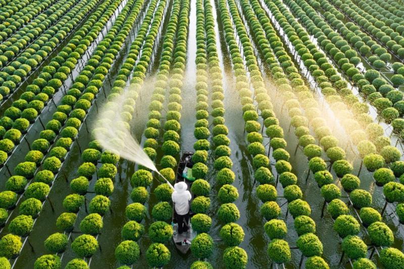 Doanh nghiệp Brazil – Nhật muốn đưa Việt Nam thành “cứ điểm” phát triển nông nghiệp công nghệ cao ở châu Á- Ảnh 1. Doanh nghiệp Brazil – Nhật muốn đưa Việt Nam thành “cứ điểm” phát triển nông nghiệp công nghệ cao ở châu Á- Ảnh 1.