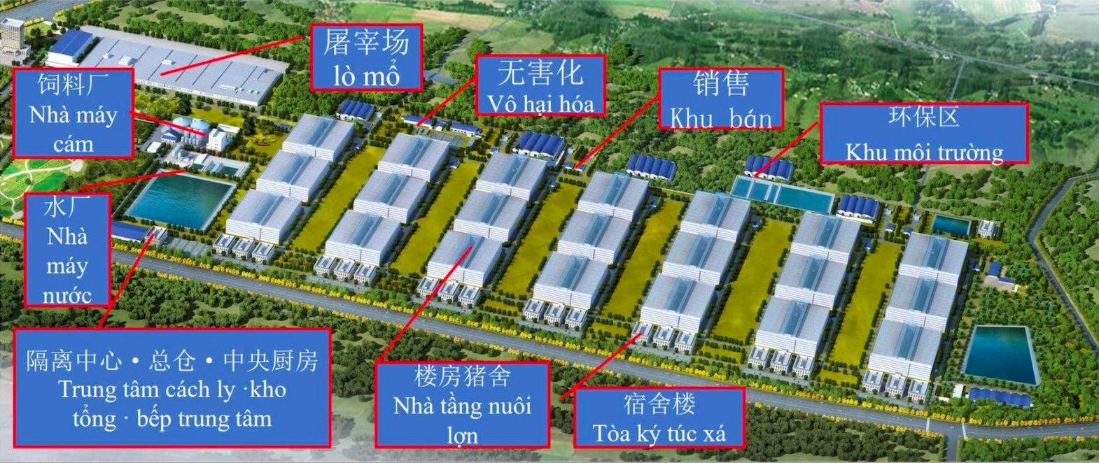 Tỉnh Tây Ninh “gật đầu” cho BAF triển khai “chung cư nuôi heo” đầu tiên Việt Nam: Tạo 100.000 heo/năm chỉ cần 95 nhân công, diện tích đất 6,7ha - tiết kiệm được 10 lần- Ảnh 2. Tỉnh Tây Ninh “gật đầu” cho BAF triển khai “chung cư nuôi heo” đầu tiên Việt Nam: Tạo 100.000 heo/năm chỉ cần 95 nhân công, diện tích đất 6,7ha - tiết kiệm được 10 lần- Ảnh 2.