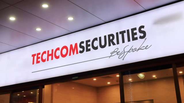 Cổ đông TCBS chốt kế hoạch IPO hơn 231 triệu cổ phiếu- Ảnh 1.
