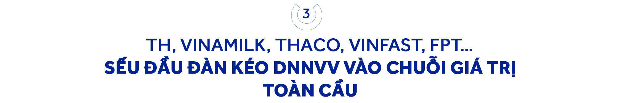 PGS. TS Trần Đình Thiên: Nghị quyết 68 xóa sổ xin - cho, DNNVV Việt Nam lột xác dù bị “trói” trong tư duy nhỏ - yếu - tự ti suốt 40 năm- Ảnh 6. PGS. TS Trần Đình Thiên: Nghị quyết 68 xóa sổ xin - cho, DNNVV Việt Nam lột xác dù bị “trói” trong tư duy nhỏ - yếu - tự ti suốt 40 năm- Ảnh 6.