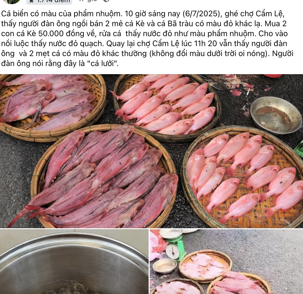 Cá "nhuộm phẩm" ở Đà Nẵng là do được rửa bằng nước ngọt có màu?- Ảnh 1. Cá "nhuộm phẩm" ở Đà Nẵng là do được rửa bằng nước ngọt có màu?- Ảnh 1.